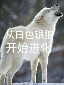 从白色银狼开始进化