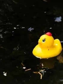 金色河流