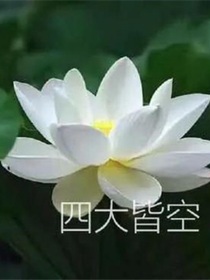 缝隙碎笔-d228