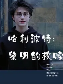 哈利波特：黎明的救赎