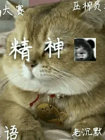 见习天使又崩了
