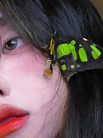 综韩剧：蝴蝶少女