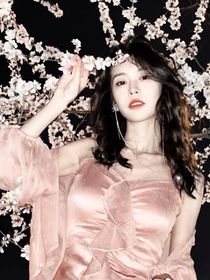 盗笔：特殊的小姐