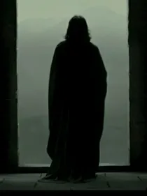 HP：重置与改写