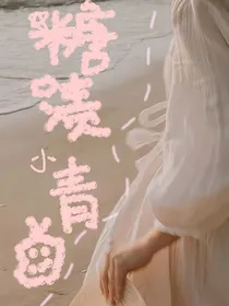 糖渍小青梅