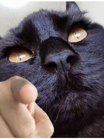 竹马怀游记