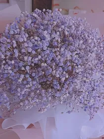 阳与忧