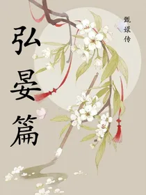 甄嬛传：弘晏篇