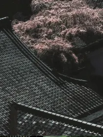 熊出没：倾梦录剧场篇