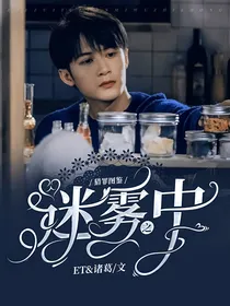 猎罪图鉴：迷雾之中