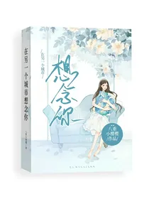 在另一个城市想念你