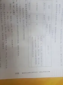 那年那兔那些事：寻光