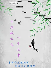 斗龙战士之一生之幸