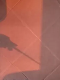 yc这个omega有点凶
