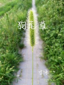 宁熙