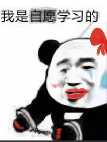 与蝴蝶邂逅