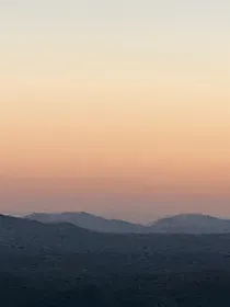 红花刺槐