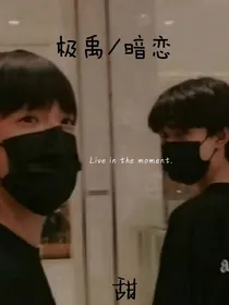 极禹：暗恋