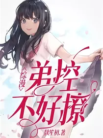 综漫：弟控不好撩