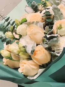 穿越重生之做王的宠儿