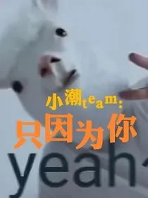小潮team：只因为你