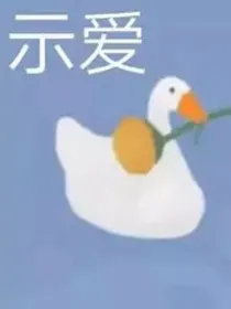 云白，云笙，星夜沉