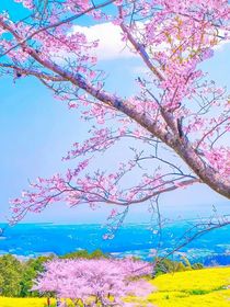 童年集