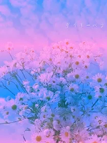 摄香：爱与不归