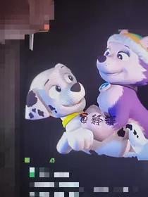 汪汪队立大功之毛珠恋