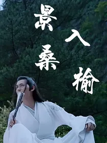 陈情令景入桑榆