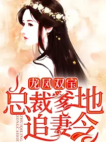 总裁爹地追妻令
