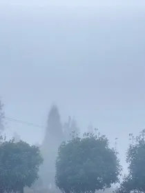 重生之舔狗化身万人迷