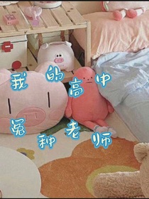 我的高中冤种老师