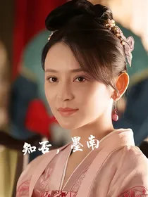 知否之盛墨兰重生文