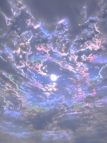 穿书后我和反派大佬HE了