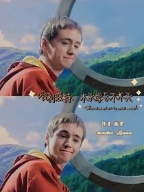 哈利波特：木头学长不木头