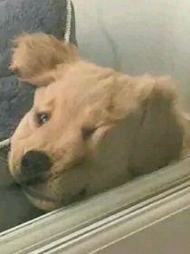 搞笑图书馆