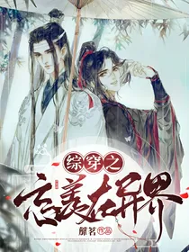 综穿之忘羡在异界
