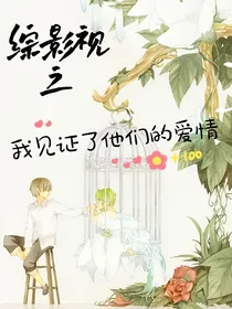 综影视之我见证了他们的爱情