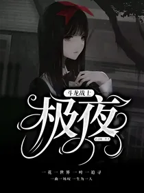斗龙战：极夜