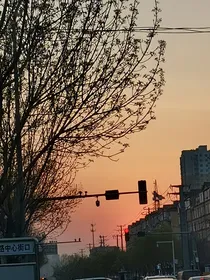 夜晚我爱你