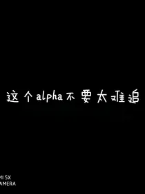 这个alpha不要太难追