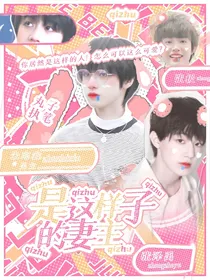 TF三代：是这样子的妻主