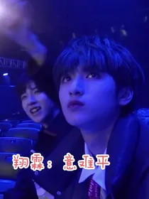 翔霖：意难平