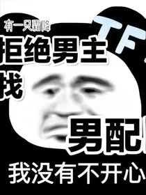 TF三代：拒绝男主找男配