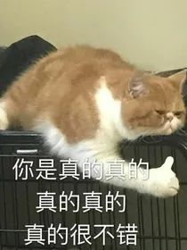 FWKT：我和我的冤种兄弟