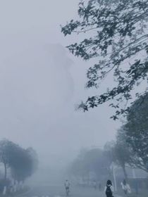 暗恋：可可脂