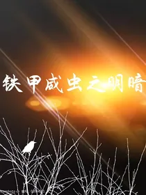 铁甲威虫之明暗