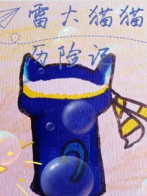 雷大猫猫历险记