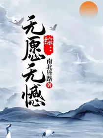 综：无愿无憾